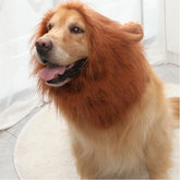 Funny Dog Transformation Lion Mane Costume