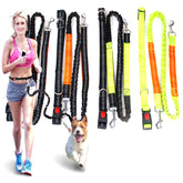 Retractable Hands Free Dog Running Leash