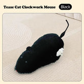 Funny Hilarious Mouse Teasing Cat Toy