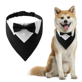 Stylish & Funny Dog Bow Tie Collar Tuxedo