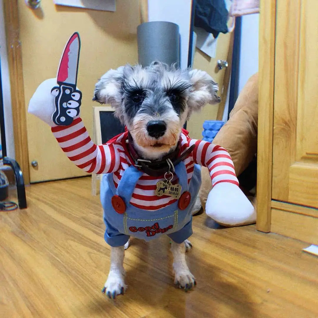 Hilarious & Funny Dog Chucky Costume