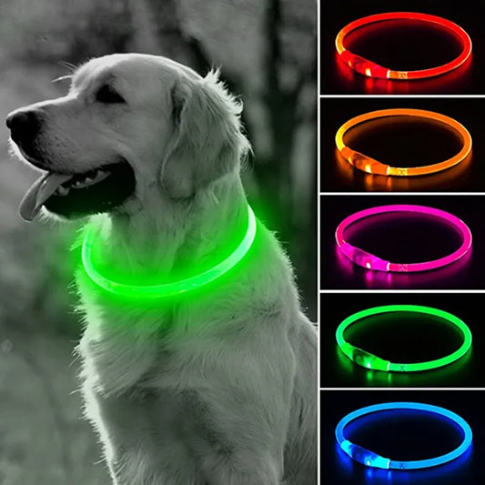 Glow In The Dark LED Dog Collar