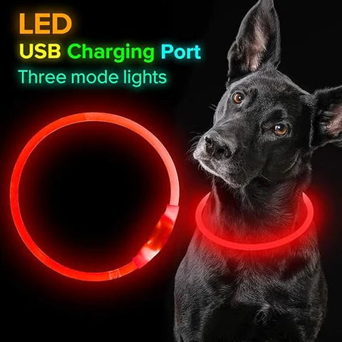 Glow In The Dark LED Dog Collar