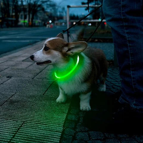 Glow In The Dark LED Dog Collar
