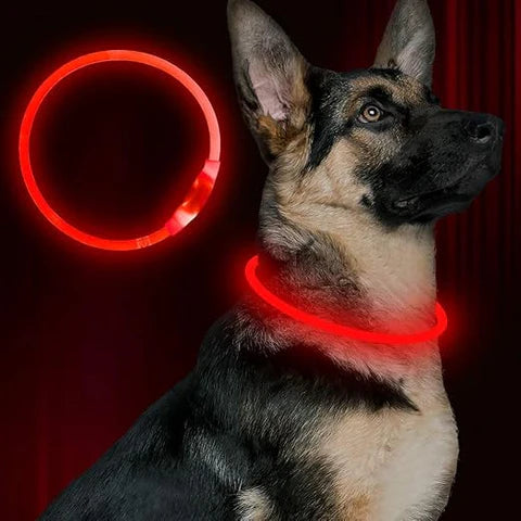 Glow In The Dark LED Dog Collar