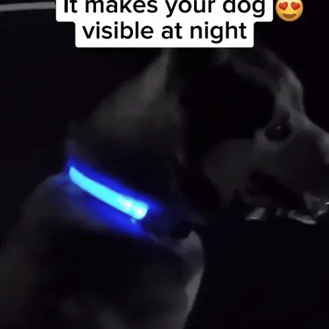Glow In The Dark LED Dog Collar