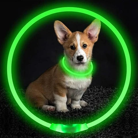 Glow In The Dark LED Dog Collar