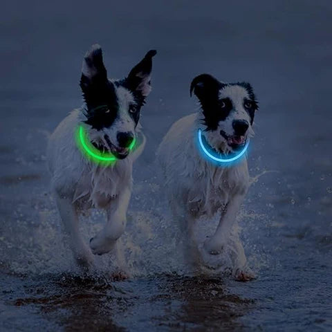 Glow In The Dark LED Dog Collar