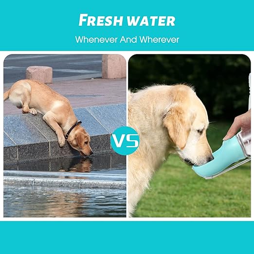 Portable Dog Water Bottle