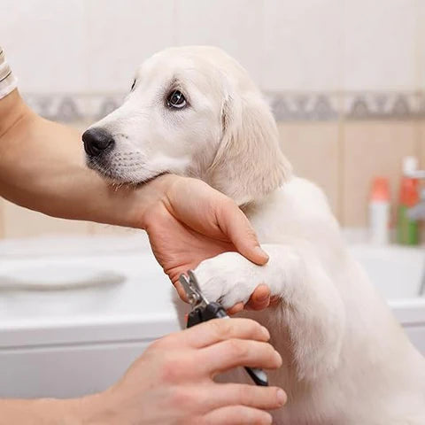  Pet Nail Clippers With Safety Guard