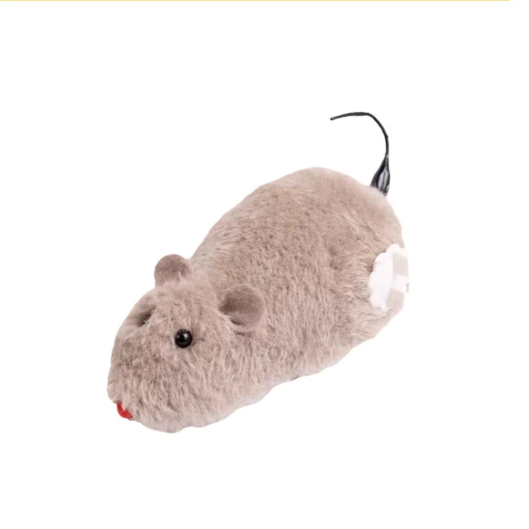 Funny Hilarious Mouse Teasing Cat Toy