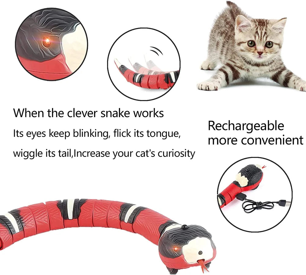 Automatic Snake Teasing Toy