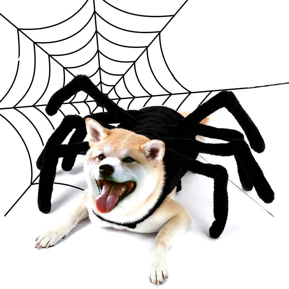 Halloween Funny Spider Costume Creative Cat Dog Clothes for Small Medium-Sized Dog Clothings Halloween Cosplay Pet Accessories