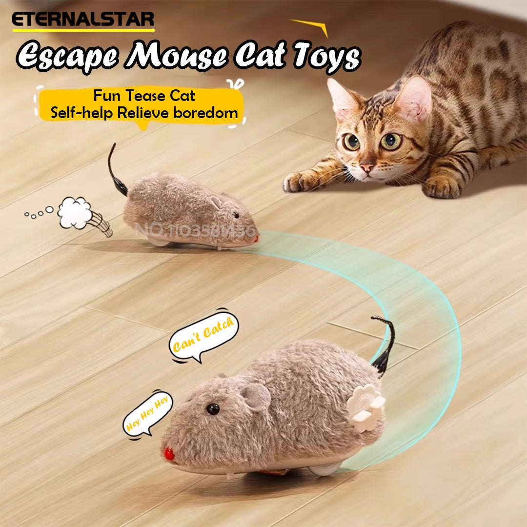 Funny Hilarious Mouse Teasing Cat Toy