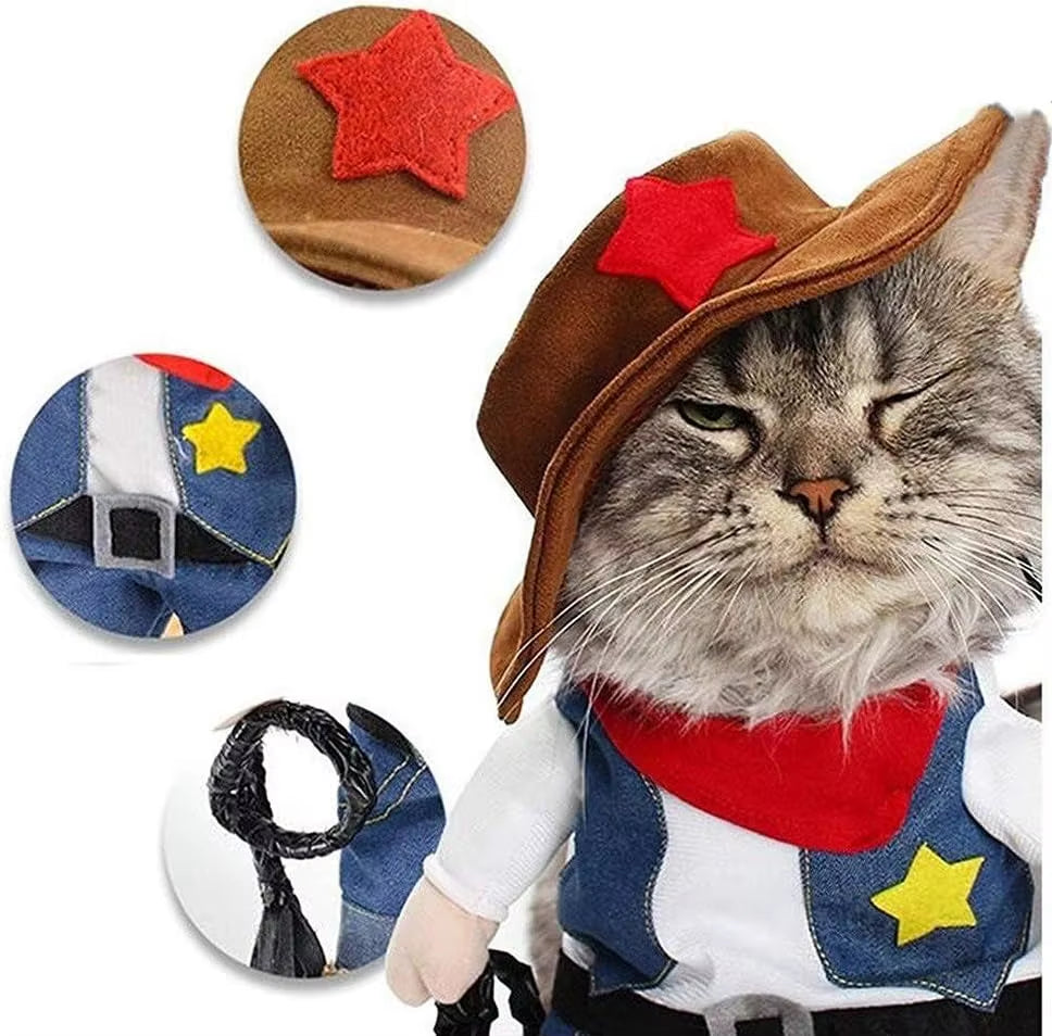 Hilarious & Funny Cat Cowboy Costume 