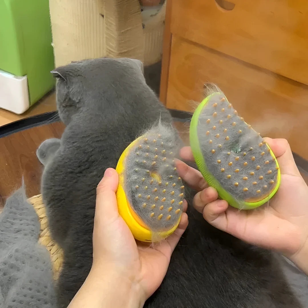 Electric Steam Brush With Spray