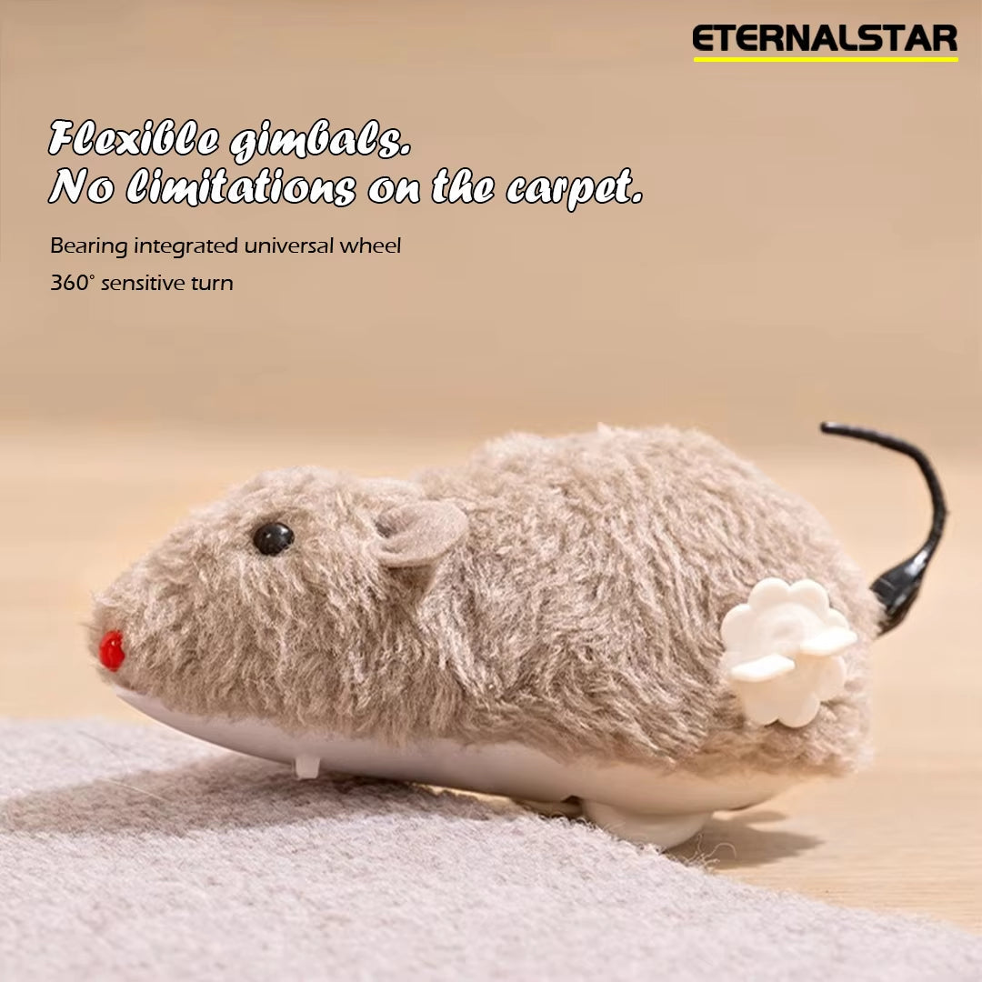 Funny Hilarious Mouse Teasing Cat Toy