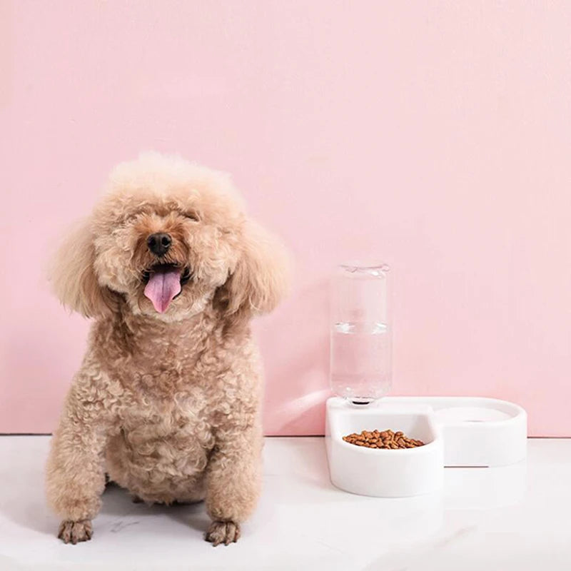 Automatic Pet Water Dispenser &  Feeding Bowl
