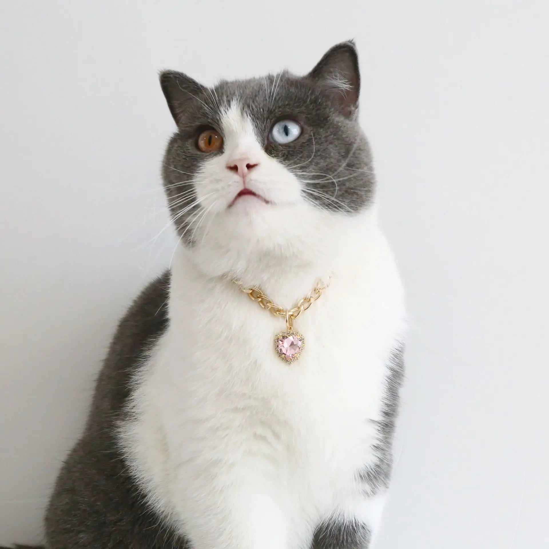 Glamorous Heart Diamond Pendant Cat & Dog Necklace - Elegant Gold Chain Collar for Pets' Special Occasions