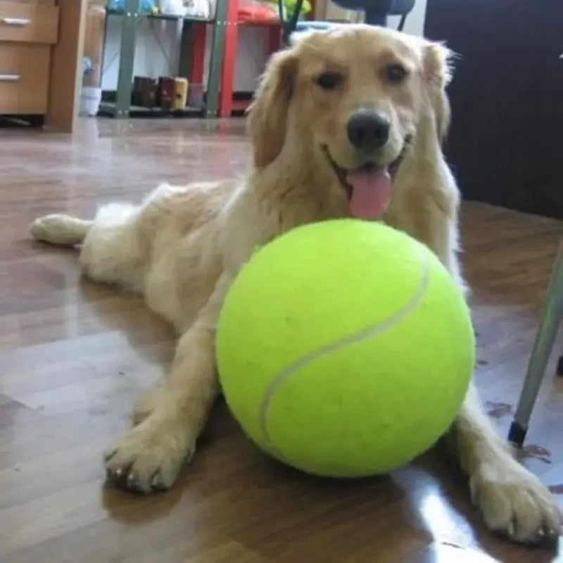 Interactive & Fun Giant Tennis Ball Dog Toy