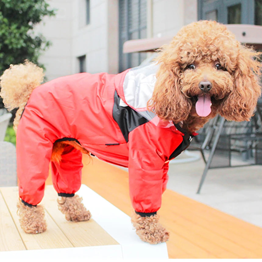 Stylish & Waterproof Dog Raincoat