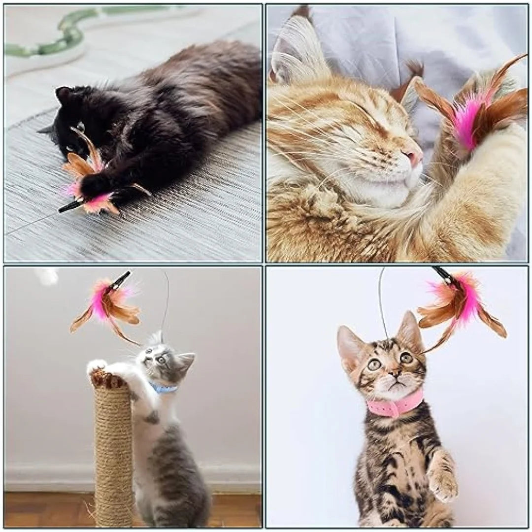 Fun Interactive Cat Collar Toy Feather