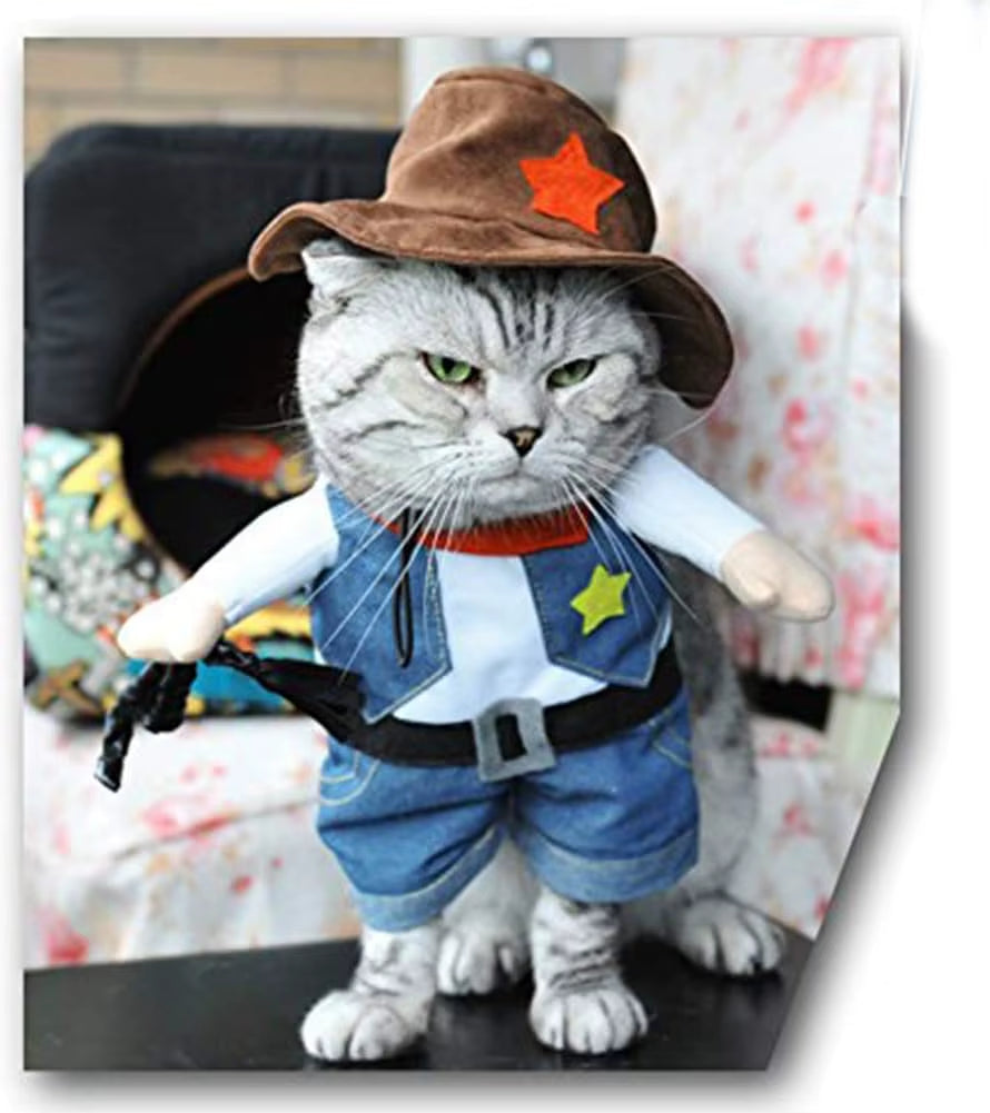 Hilarious & Funny Cat Cowboy Costume 