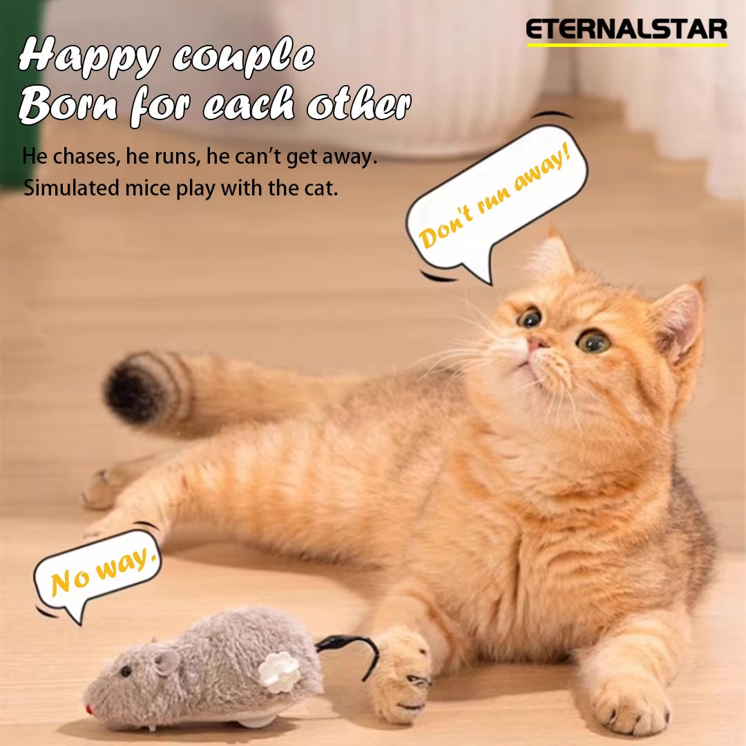 Funny Hilarious Mouse Teasing Cat Toy