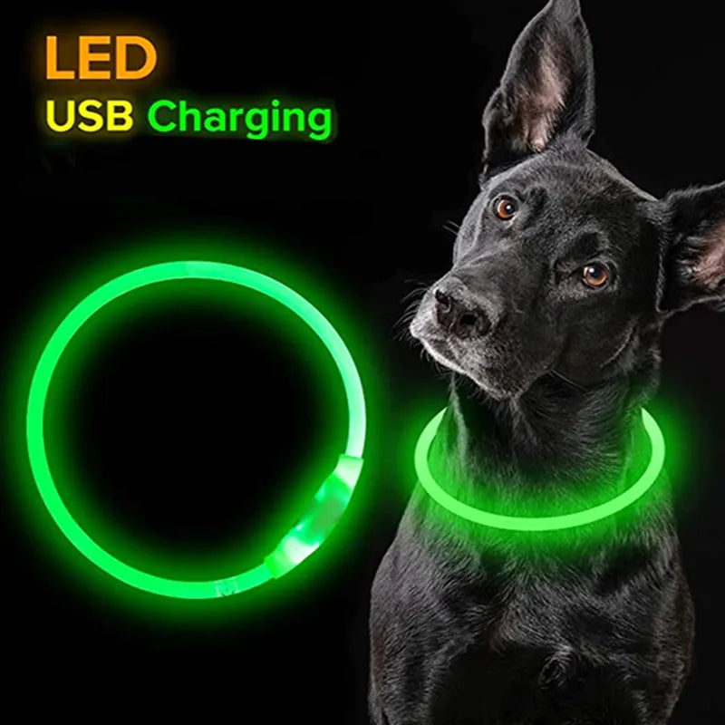 Glow In The Dark LED Dog Collar