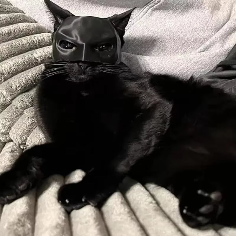Gift Black Bat Cat Avenger Mask Cute Matte Bat Mask Cool Superhero Pet Toys for Cats and Dogs